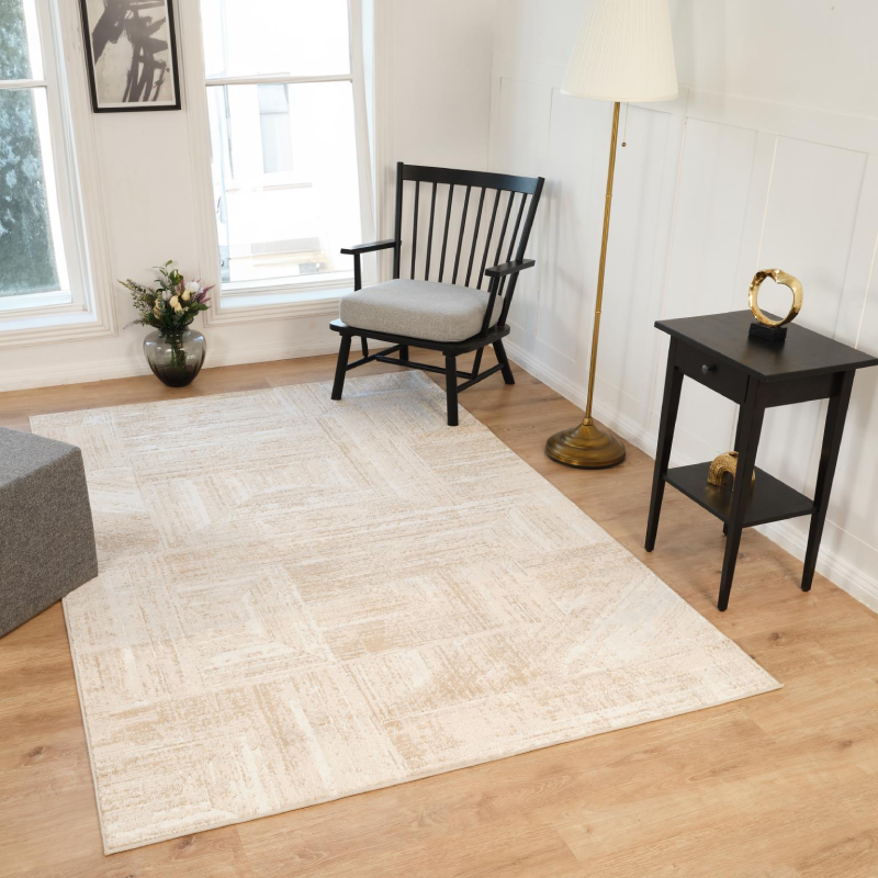 Area-Rugs-In-Stock-Image